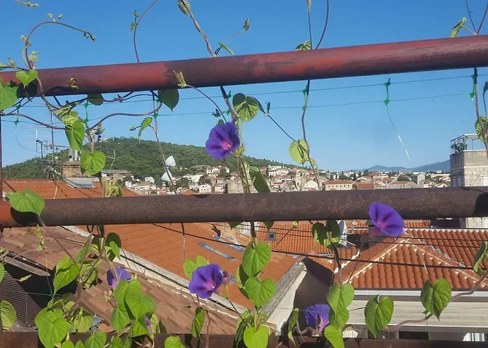 Studiolo Belvedere Сплит